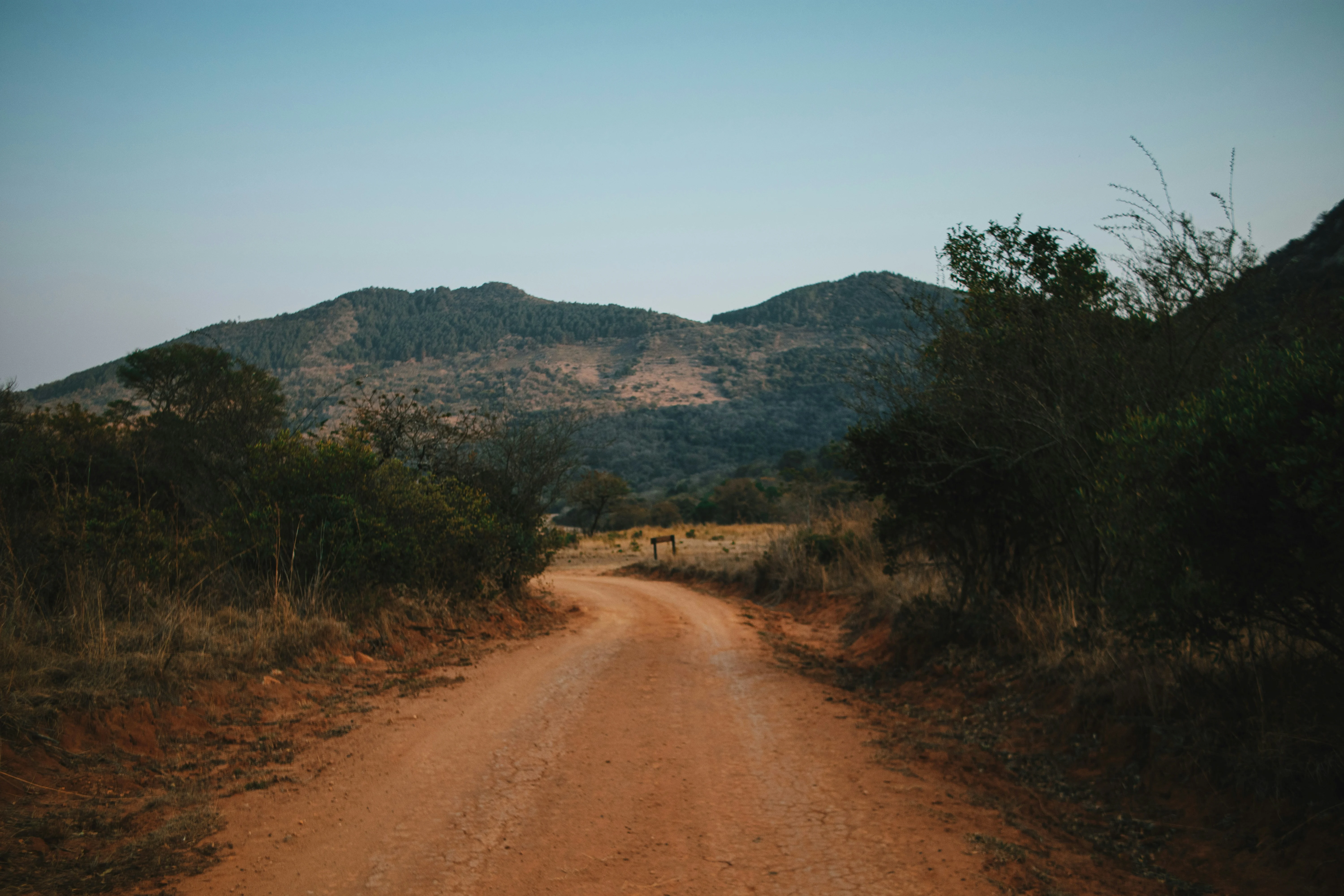 Guided bush walks