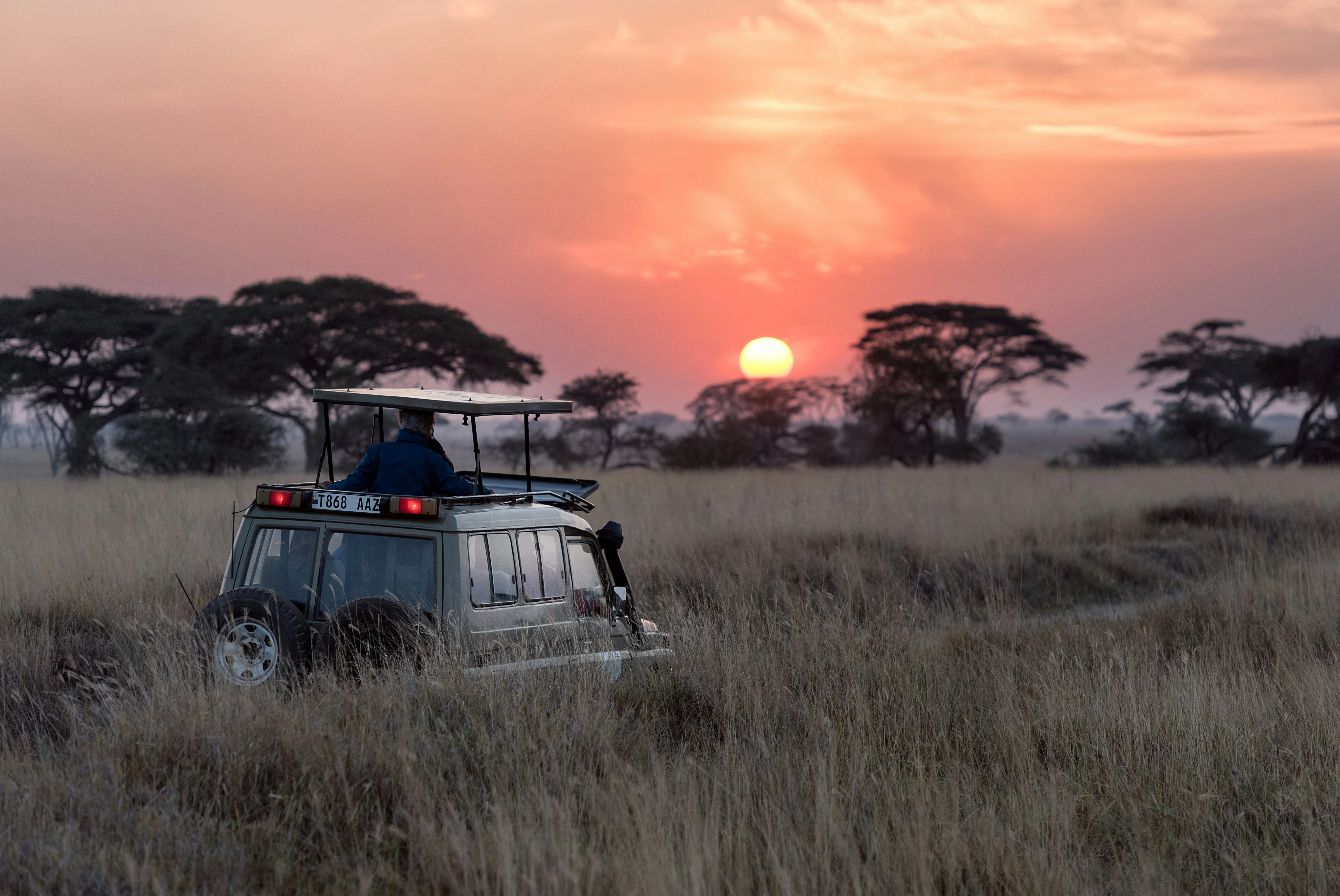 Sundowners in the bush